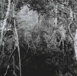 Wrath Of The Weak : Wrath of the Weak